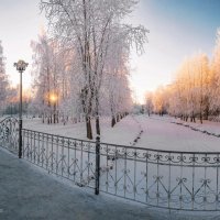 В ухтинском парке... солнышко не поднимается выше горизонта, а чуть севернее уже полярная ночь) :: Николай Зиновьев