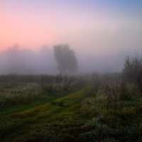 Рассвет и туман :: Сергей Шабуневич