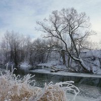 Первый день зимы на Протве :: Сергей Курников