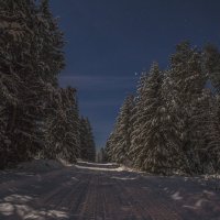 Зимняя дорога ночью. :: Алексей Крохин