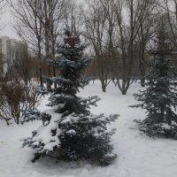 Умеренно цветной декабрь :: Андрей Лукьянов