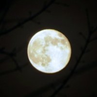 Луна :: Екатерина Маринина