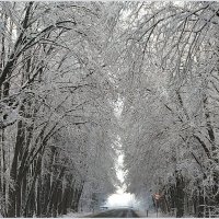Снежная арка. :: Валерия Комова