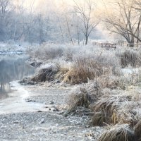 Морозное утро :: олег свирский 