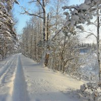 Зимняя дорога у озера Силанде на Карельском перешейке :: Стальбаум Юрий 