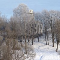 В парке зимой :: Вера Щукина