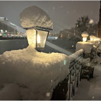 Снег, снег... :: Валерия Комова