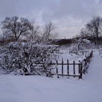 Зима :: Антонина Гугаева
