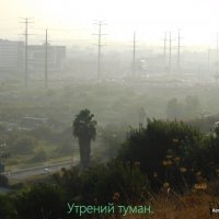 Утрений туман. :: Валерьян Запорожченко