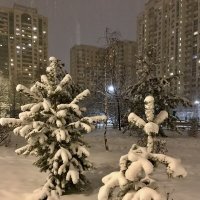 Снегопад в Москве :: Pippa 