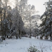 Зима :: Александр Синдерёв