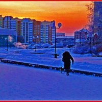 Январь...Утренняя заря и дама с собачкой! :: Владимир 