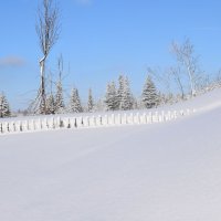 После снежной бури :: Танзиля Завьялова