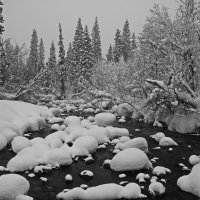 Река замерзать не хотела. :: Ирина Нафаня