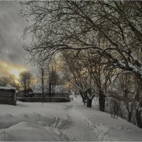 "Бывалые стражи. Зима у деревни"© :: Владимир Макаров