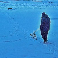 В снежное утро с собачкой! :: Владимир 