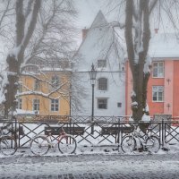 FEP Fotograaf Arkadi Baranov, Tallinn :: Аркадий  Баранов Arkadi Baranov