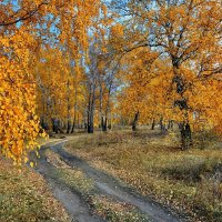 Осенняя прогулка :: Mikhail Irtyshskiy