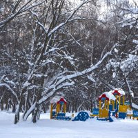 Зимой в парке. :: Александра Климина