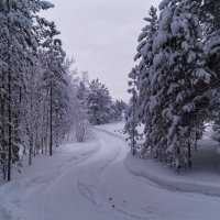 Мороз однако... :: Оксана Галлямова