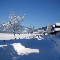 Альпийская зима :: ZNatasha -