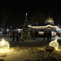 Зима в парке "Патриот" :: Ольга 