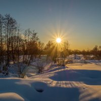 Подмосковная зима # 07 :: Андрей Дворников