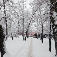 Декабрь. :: Владимир Драгунский