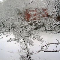 Зима на пруду :: Сергей Карачин