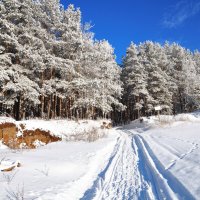 Дорога в лесную сказку :: Василий Колобзаров