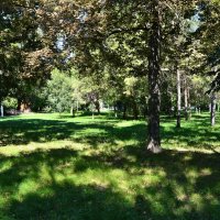 Батайск. В тени деревьев Центрального парка сентябрьским днём. :: Пётр Чернега