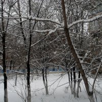 Зимний день :: Светлана SvetNika17