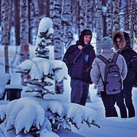Декабрь...Ребята и елка в снегу! :: Владимир 