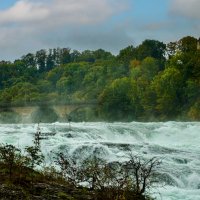 Река Рейн, водопады :: Lucy Schneider 