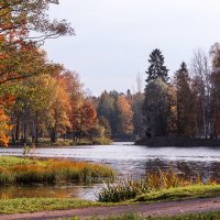 Гатчинский парк Белое озеро в осеннем одеянии :: Алексей Шехин