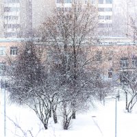 Снегопад :: Виктор Орехов