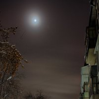Ночь и тишина, данная навек... :: Дмитрий Костоусов