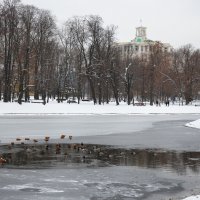 Москва. Екатерининский парк. Большой Екатерининский пруд. :: Наташа *****