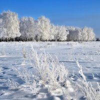 Зимний день :: Mikhail Irtyshskiy