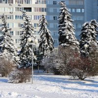 Город в морозный день января :: Надежд@ Шавенкова