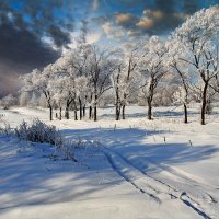 рождественские кружева :: Андрей 