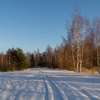 Морозное январское утро # 03 :: Андрей Дворников