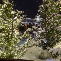 Новогодние елки на Дворцовой площади :: Anna-Sabina Anna-Sabina
