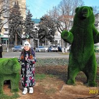 Вероника и медведь :: Александр Владимирович Никитенко
