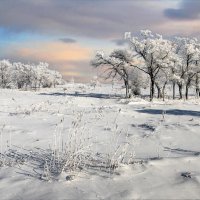 Рождественские кружева :: Андрей 