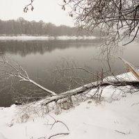 У зимней реки :: Андрей Снегерёв