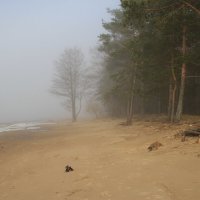 Туман   Балтика :: Cергей Кочнев