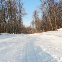 Мороз прогулкам не помеха :: Андрей Заломленков (настоящий) 