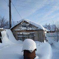 У леса на опушке. :: Венера Чуйкова