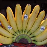бананое чудо :: Savayr 